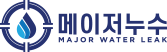메이저누수